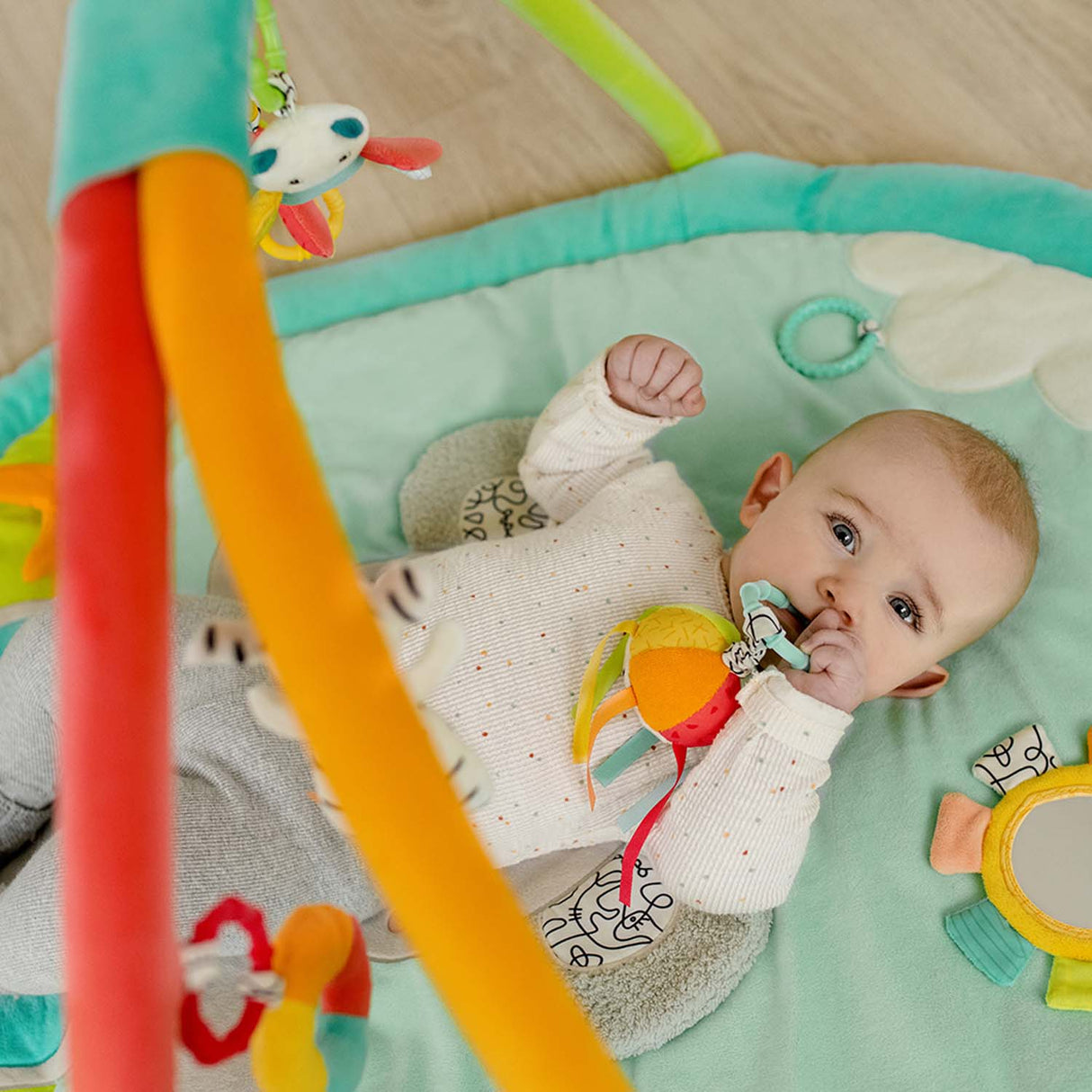 Fehn 3-D õppematt beebile "Koala"