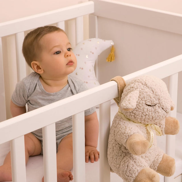 Moonie orgaaniline cappuccino karu (Cappuchino)