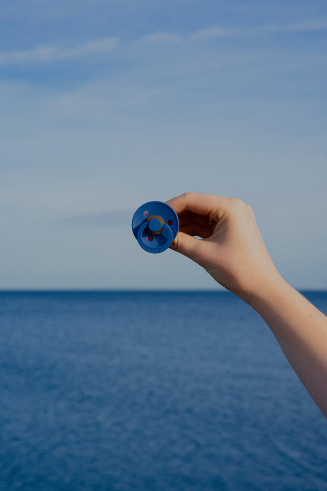 BIBS lutikomplekt suurus 2 (6 - 18 kuud) Mänd / Rukkilill