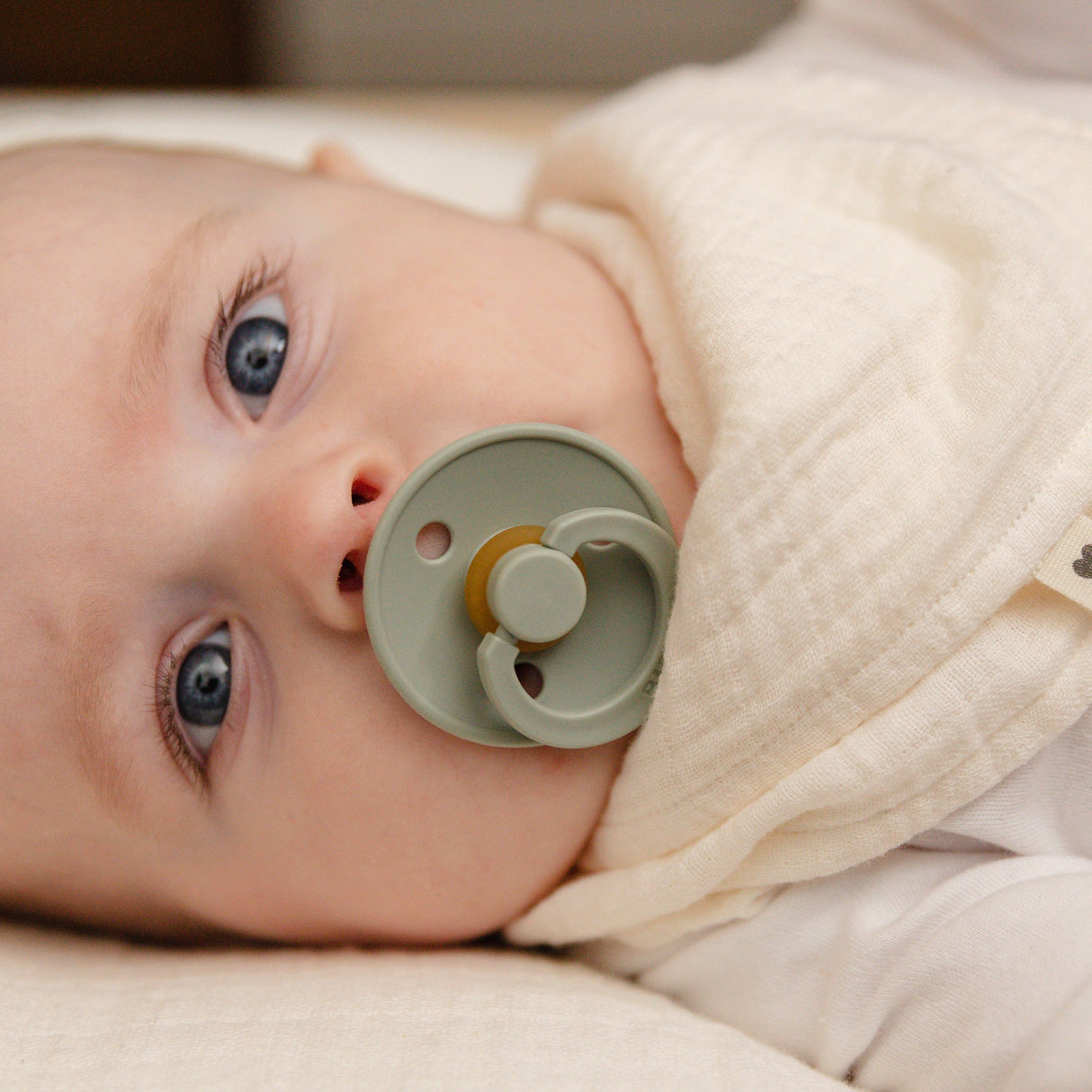 BIBS lutikomplekt Color Try-it 3 tk. Põsepuna