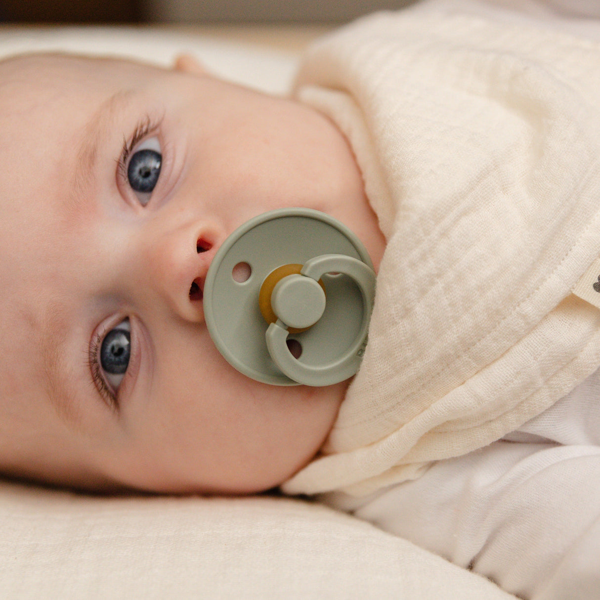 BIBS lutikomplekt Color Try-it 3 tk. Salvei