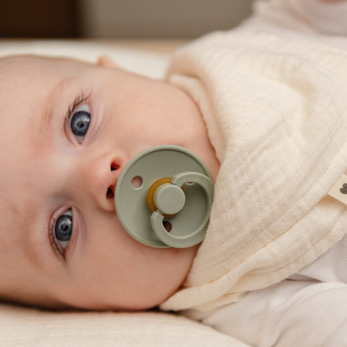 BIBS lutikomplekt Color Try-it 3 tk. Elevandiluu