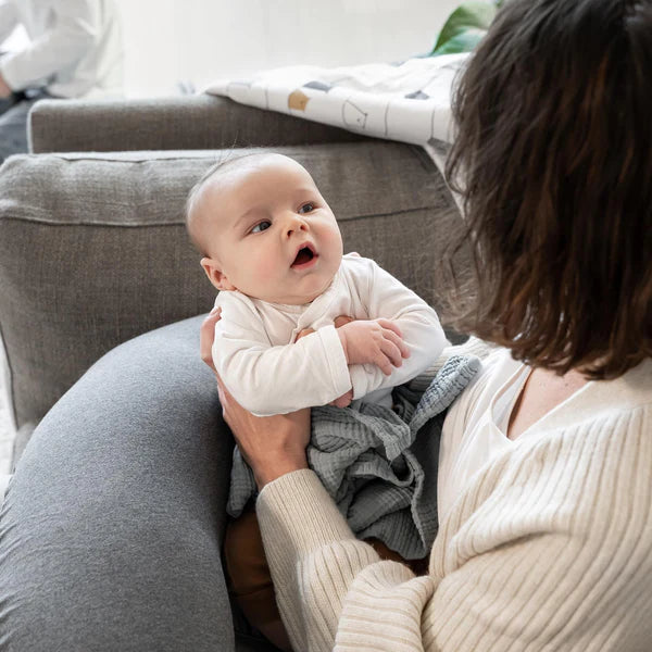 Doomoo Buddy toitmis- ja raseduspadi Chine Anthracite