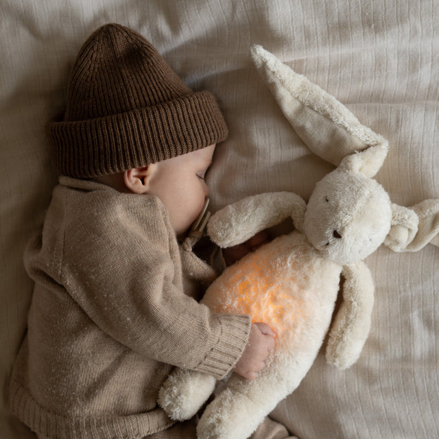 Moonie orgaaniline cappuccino karu (Cappuchino)