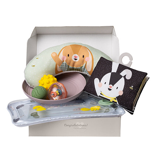 Taf Toys Tummy Time Essentials Kit lavinamasis rinkinys gulėjimui ant pilvuko, 7 dalių