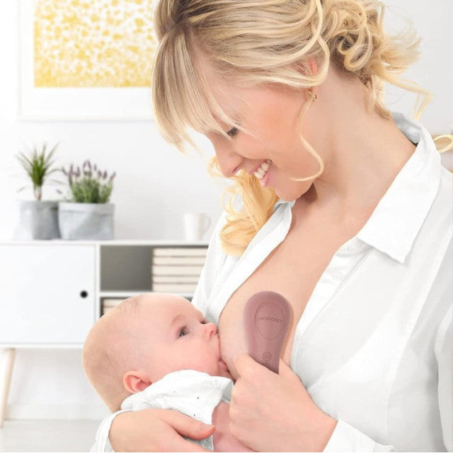 Baby Brezza Instant Warmer kiirveeboiler