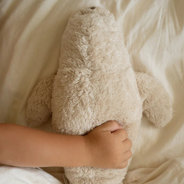 Moonie orgaaniline cappuccino karu (Cappuchino)