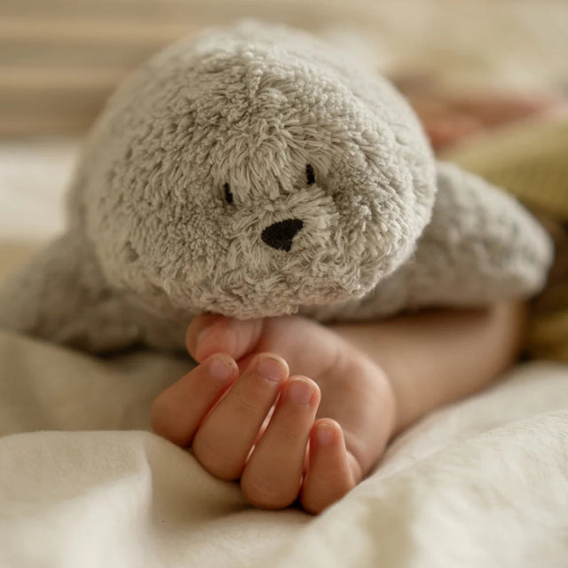 Moonie orgaaniline cappuccino karu (Cappuchino)