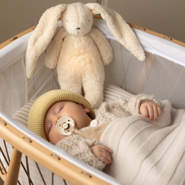 Moonie orgaaniline cappuccino karu (Cappuchino)