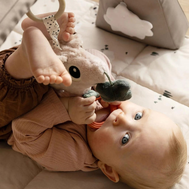 Autor: Hirve rippuv mänguasi – tegevusratas Lalee Sand