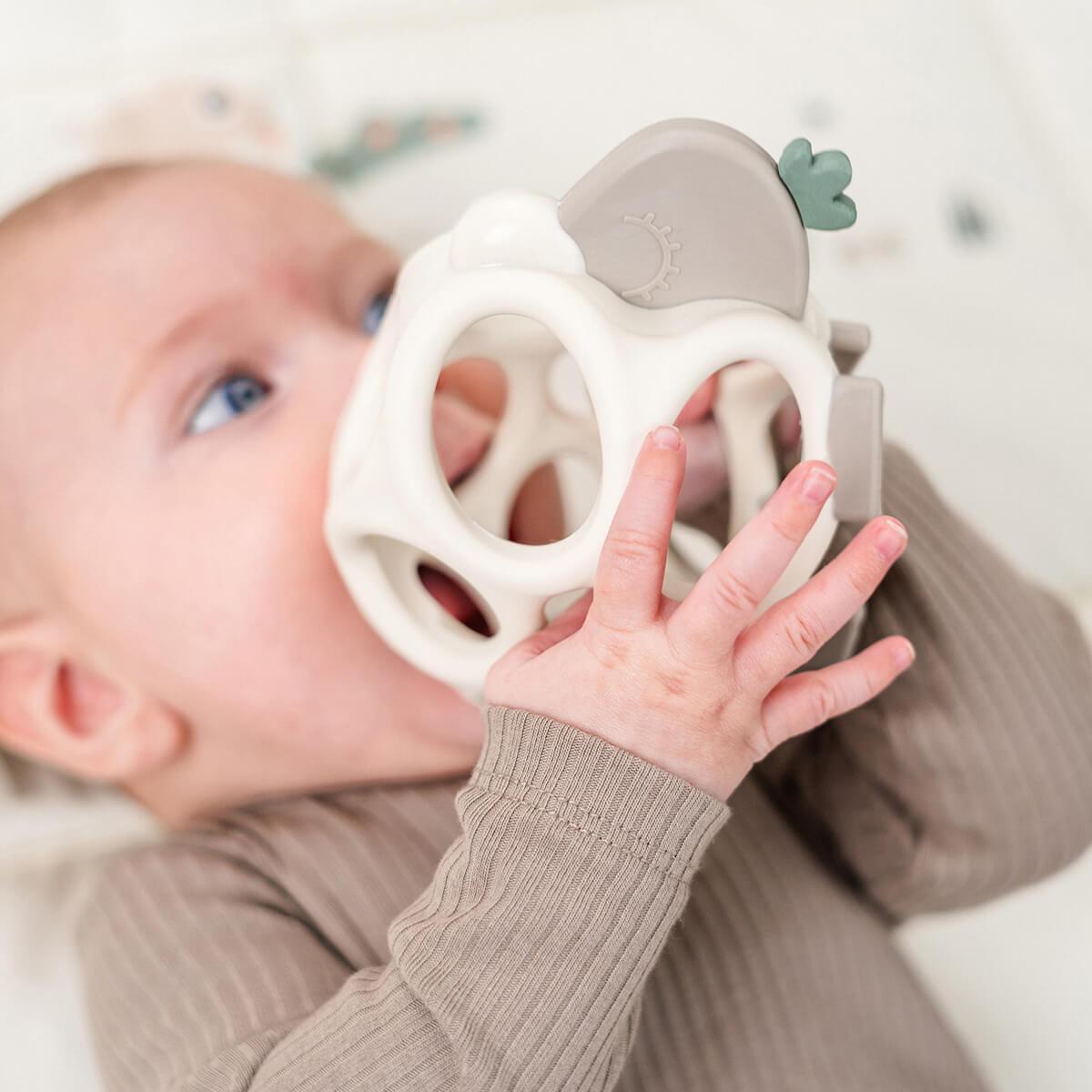 Mushie silikoonist närimispall Kuivatatud tüümian