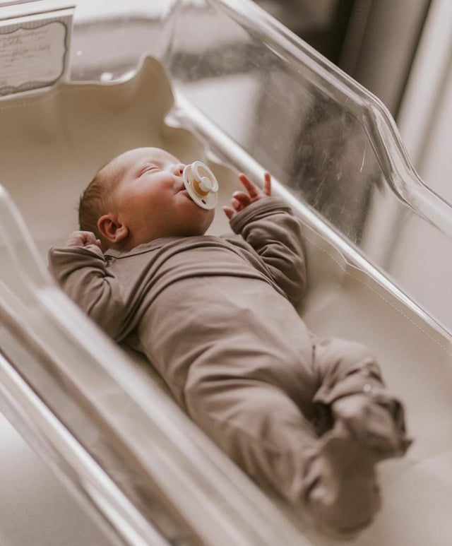 BIBS čiulptukų rinkinys 2 dydis (6 - 18 mėn.) Vanilla / Blush (4918753951826)