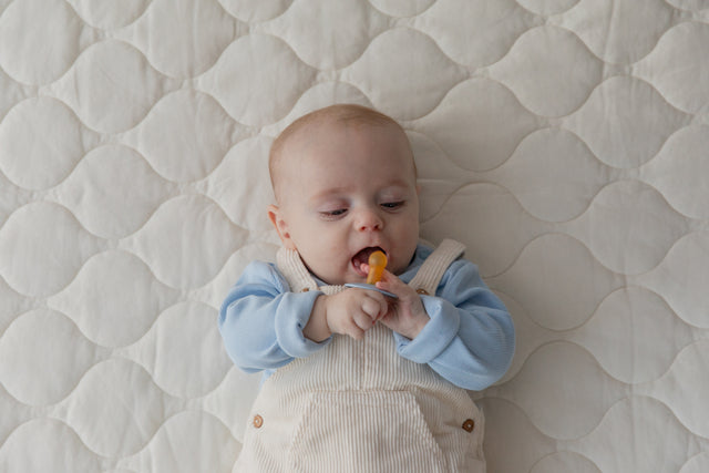 BIBS luti komplekt suurus 1 (0-6 kuud) Liberty Eloise Dusty Blue Mix