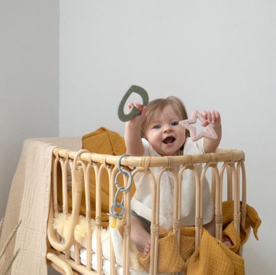 BIBS-i närimissalvei süda (Bitie Heart Sage)