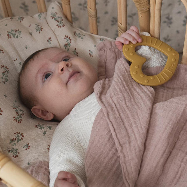 BIBS närimissinepi süda (Bitie Heart Musard)