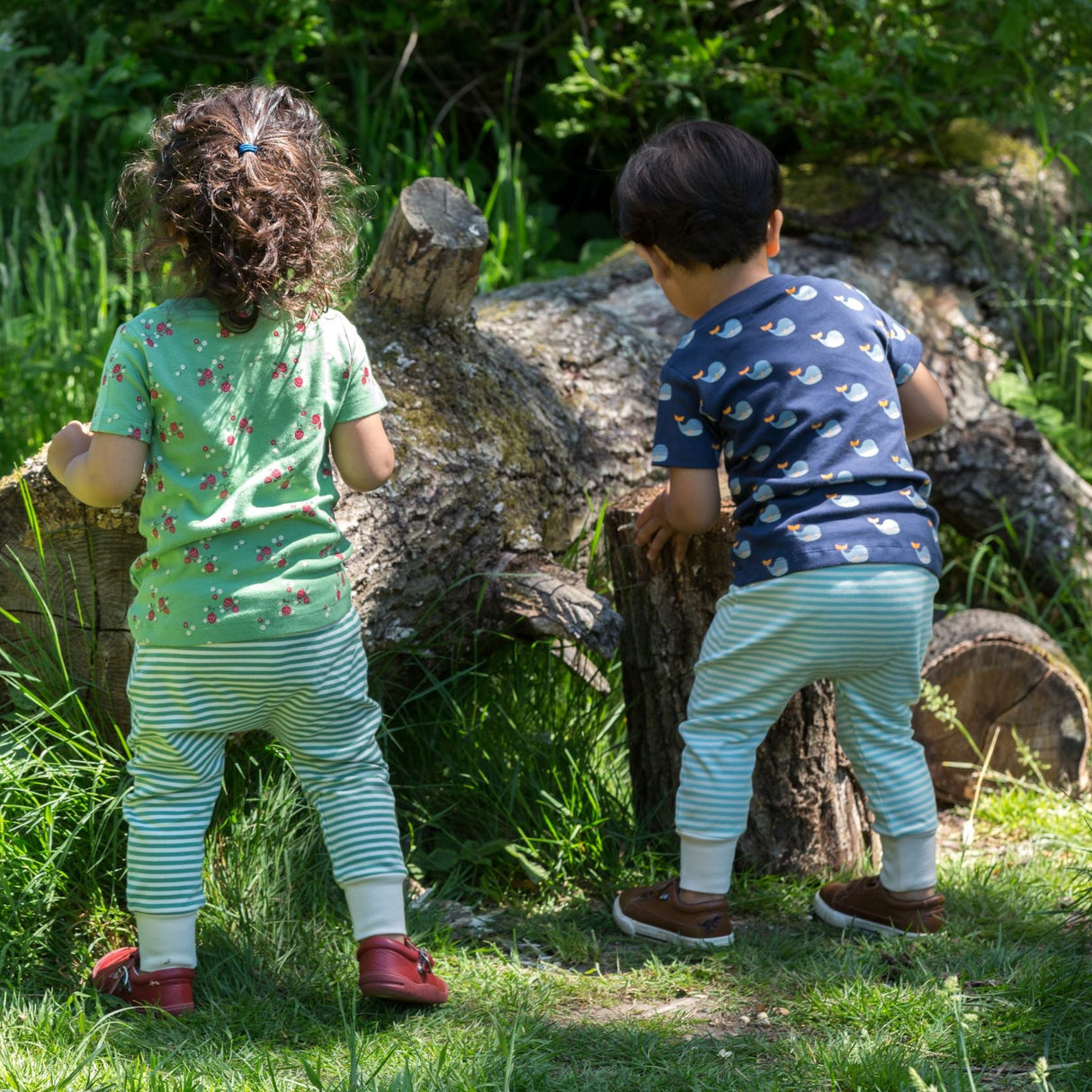 Little Green Radicals Giraffe Days komplekt (T-särk ja püksid)