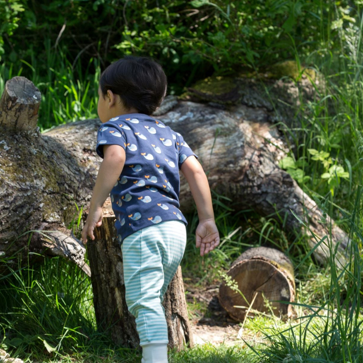Little Green Radicalsi vaalalaulu komplekt (särk ja püksid)