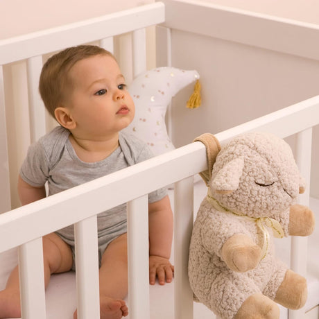 Moonie orgaaniline cappuccino karu (Cappuchino) 