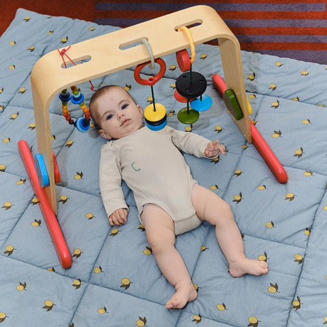 Taf Toys kahepoolne pehme raamat väikelastele "Lugu"