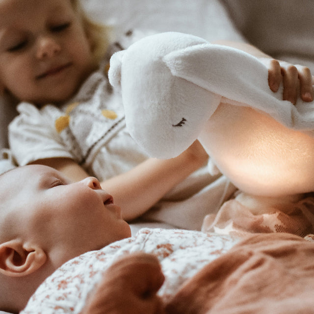 Moonie unine hall jänku (hõbe) 