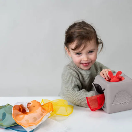 Taf Toys kahepoolne pehme raamat väikelastele "Lugu"