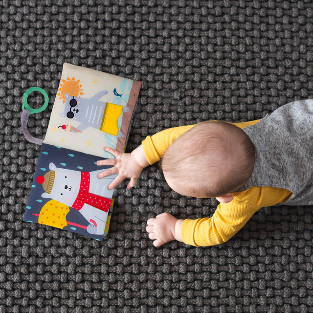 Taf Toys kahepoolne pehme raamat väikelastele "Lugu"