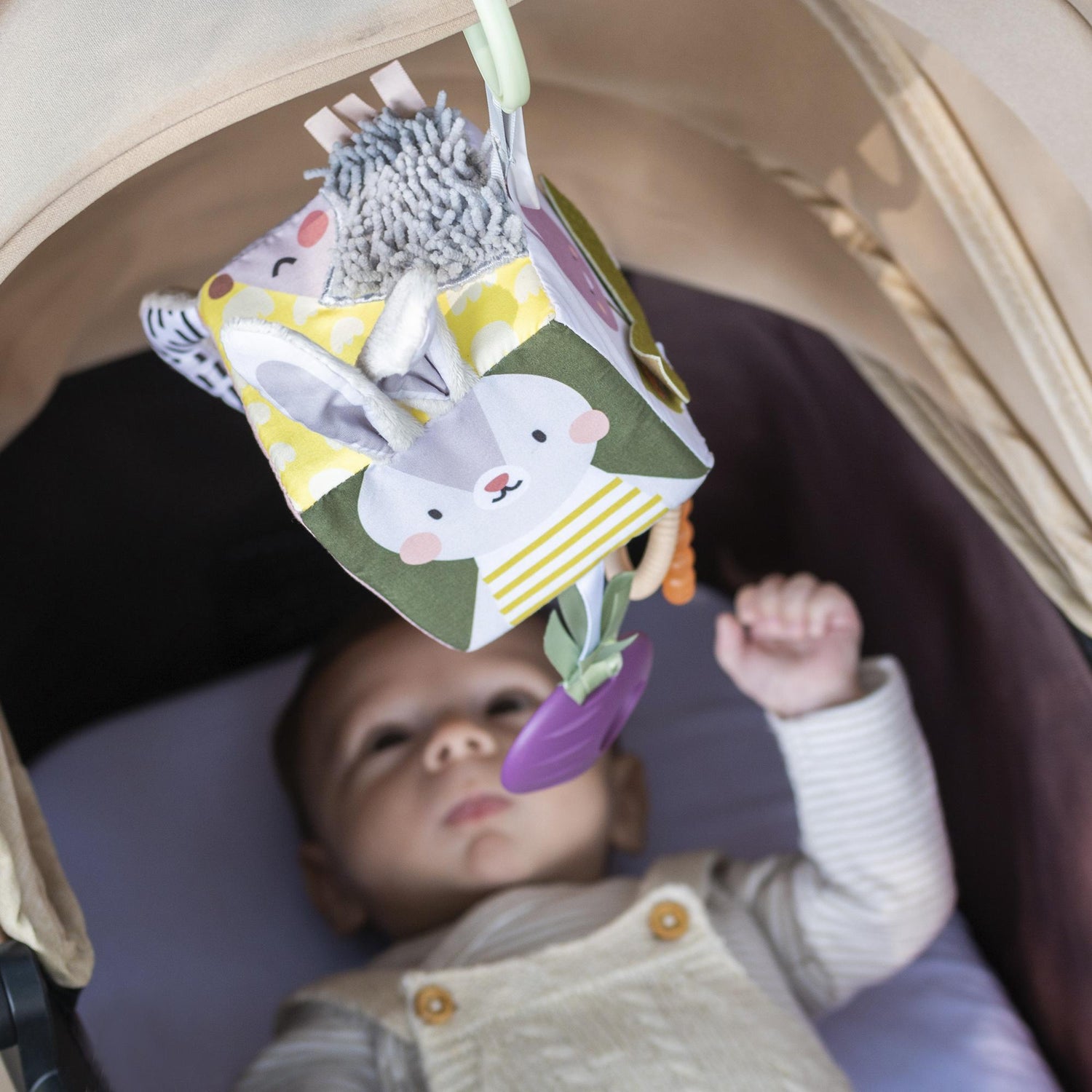 Taf Toys lavinamasis kubas kūdikiui Urban Garden, 0 mėn.+