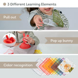 Taf Toys kahepoolne pehme raamat väikelastele "Lugu"