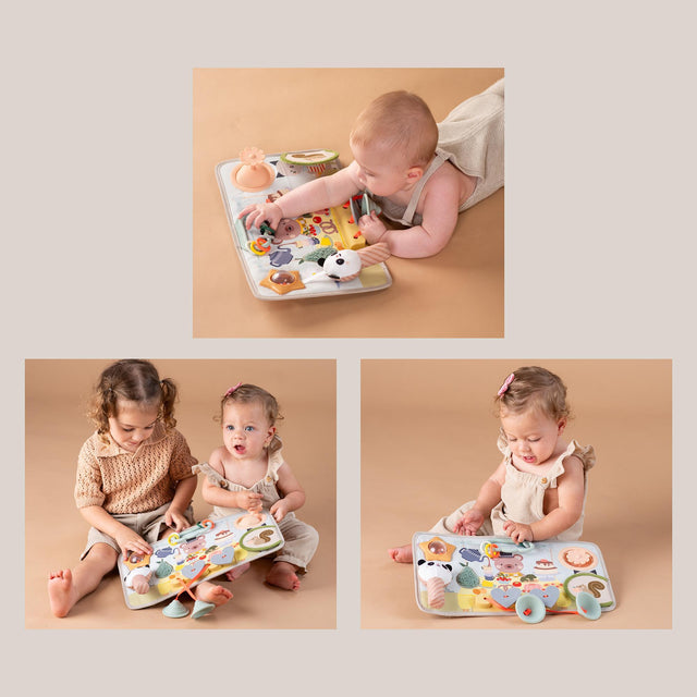 Taf Toys veiklos lenta - lavinamasis žaislas Peek, Pop & Play, 6+ mėn.