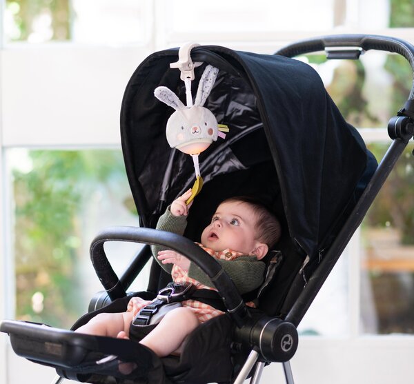 Taf Toys muzikinis žaislas vežimėliui Garden Stroller Bunny