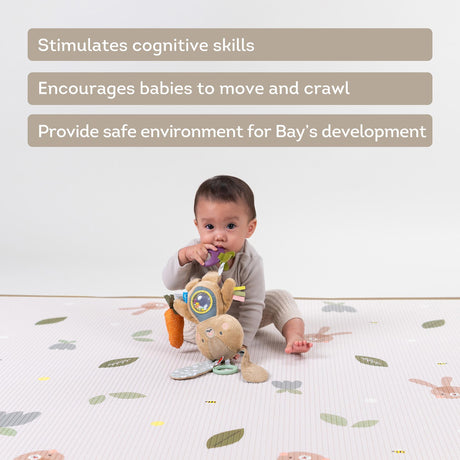 Taf Toys kahepoolne pehme raamat väikelastele "Lugu"