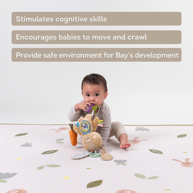 Taf Toys kahepoolne pehme raamat väikelastele "Lugu"