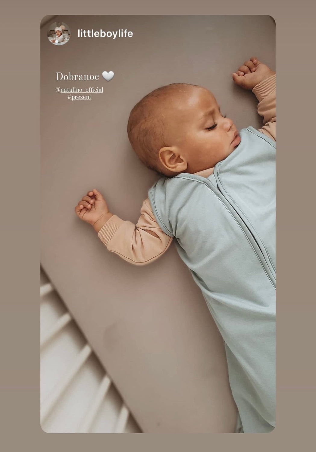 Natulino NATURALS ühekihiline beebi magamiskott GOTS celadon (mündivärvi) 