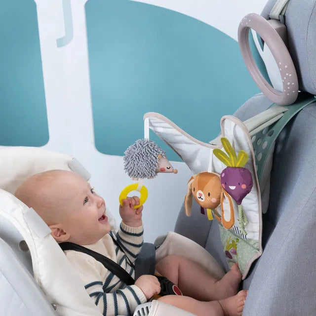 Taf Toys kahepoolne pehme raamat väikelastele "Lugu"