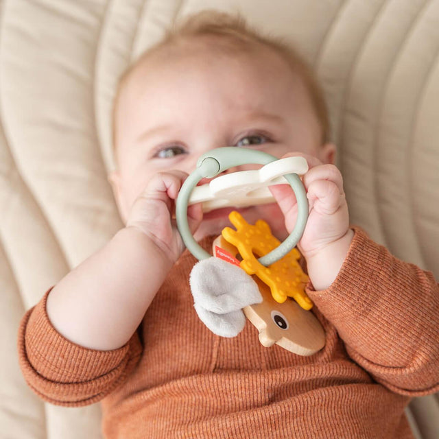 Mushie silikoonist närimispall Kuivatatud tüümian 