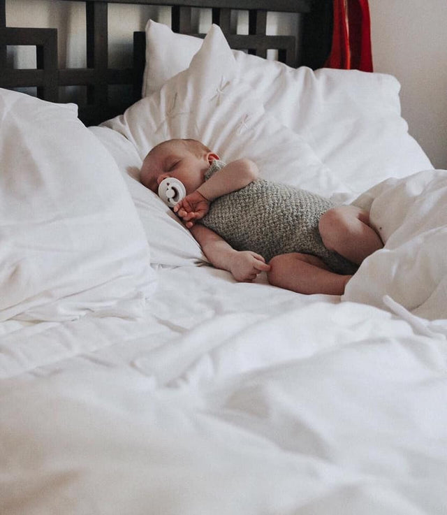 BIBS čiulptukų rinkinys 2 dydis (6 - 18 mėn.) Vanilla / Blush (4918753951826)