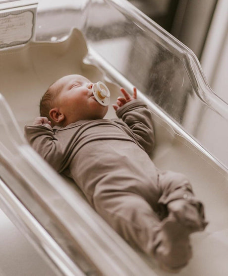 BIBS čiulptukų rinkinys 1 dydis (0 - 6 mėn.) Vanilla / Blush (4798718476370)