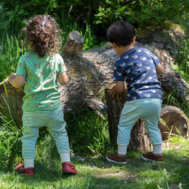 Little Green Radicals Giraffe Days komplekt (T-särk ja püksid)