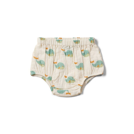 Little Green Radicals lühikesed püksid (2 tükki)