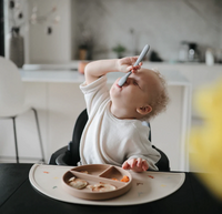 Mushie laste söögiriistade komplekt elevandiluust 